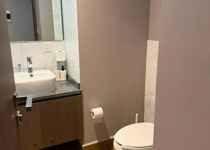 Loft En Insurgentes Cerca De Reforma Y Monumento A La Revolucion *